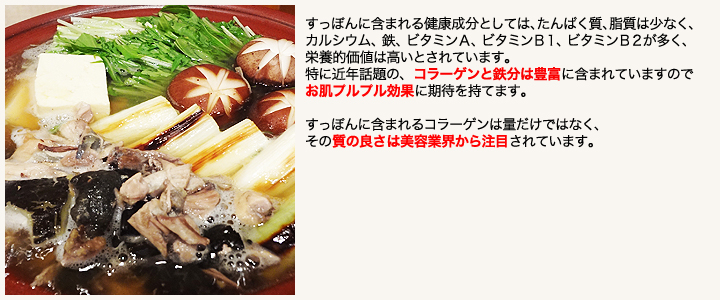 【すっぽん鍋】【すっぽんスープ】