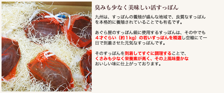 【すっぽん鍋】【すっぽんスープ】