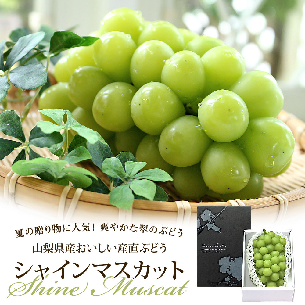 シャインマスカット ぶどう 葡萄 秀品 山梨県産 2房入り 約1kg 化粧箱入り 日本ロイヤルガストロ倶楽部の通販 お取り寄せなら ぐるすぐり シャインマスカット ぶどう 葡萄 秀品 山梨県産 2房入り 約1kg 化粧箱入り 日本ロイヤルガストロ倶楽部の通販 お取り寄せなら ぐるすぐり
