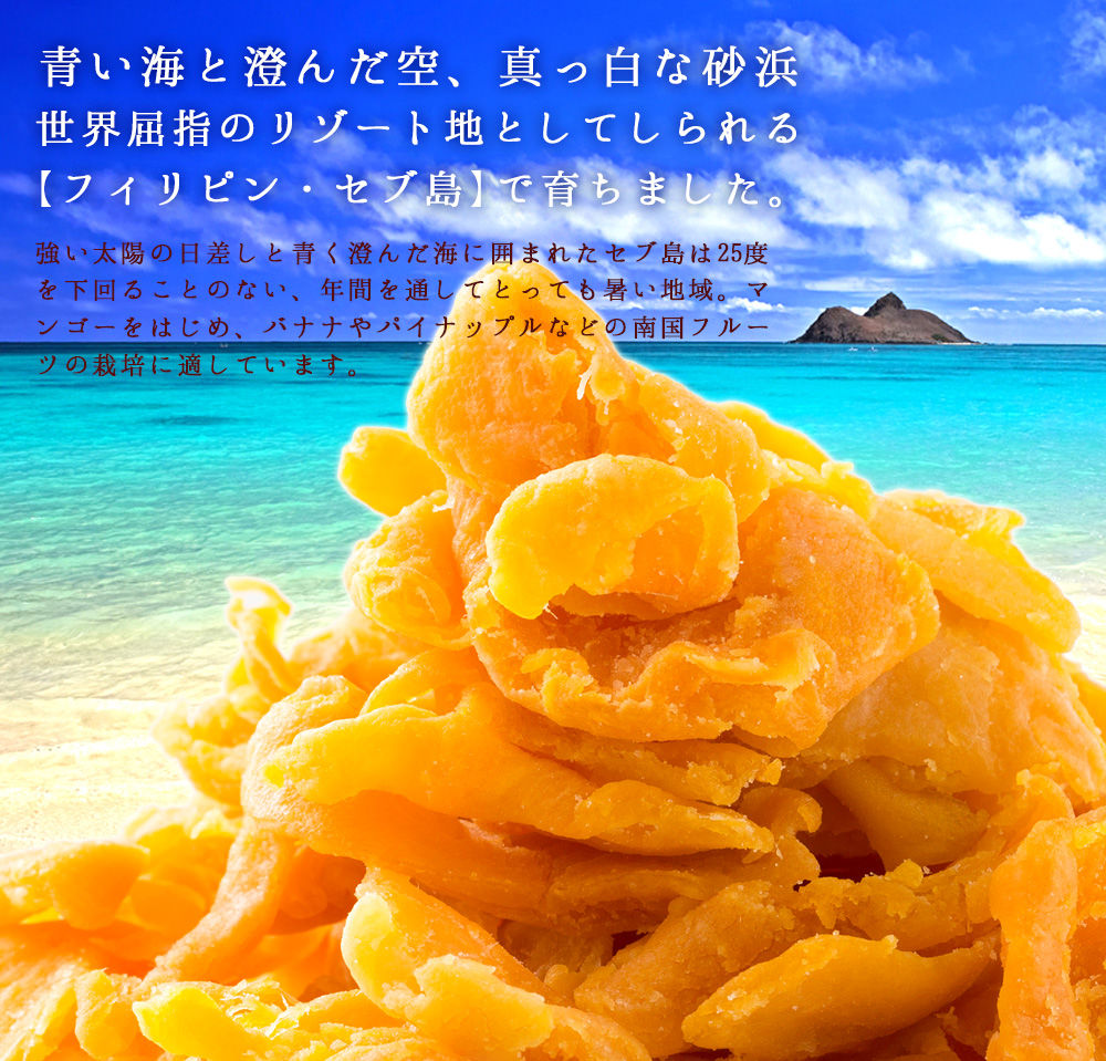 市場 送料無料 ドライマンゴー100ｇ×2袋 セブ セブ島