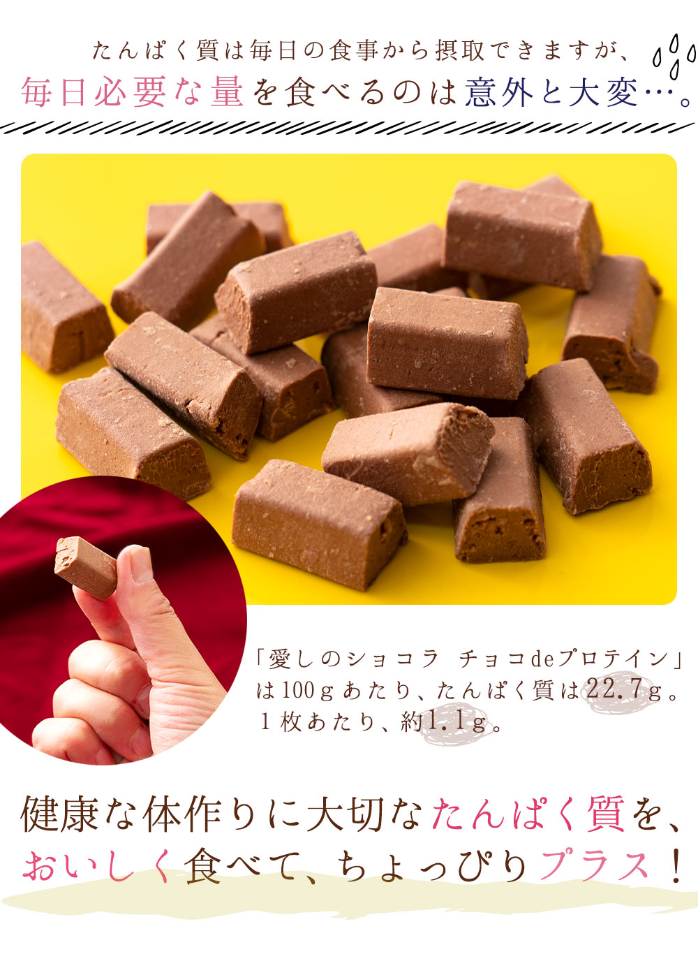 チョコレート 愛しのショコラ チョコdeプロテイン ナポリタン チョコ プロテイン配合 大容量 送料無料 ぼくの玉手箱屋ーの通販 お取り寄せなら ぐるすぐり