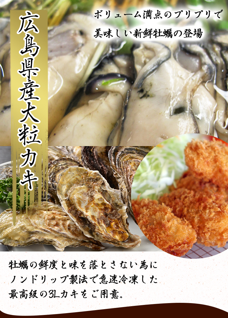 送料無料】広島県産超特大牡蠣（1kg）プリプリ絶品【3L/かき/カキ/貝/海鮮/大粒/むき身/オメガ3/鍋/焼き牡蠣/贈物/プレゼント/お祝い/ギフト】｜坊'S  オンラインストアの通販・お取り寄せなら【ぐるすぐり】