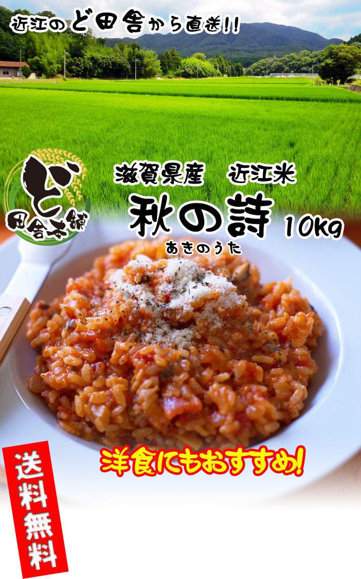 滋賀県産 近江米 秋の詩 10kg