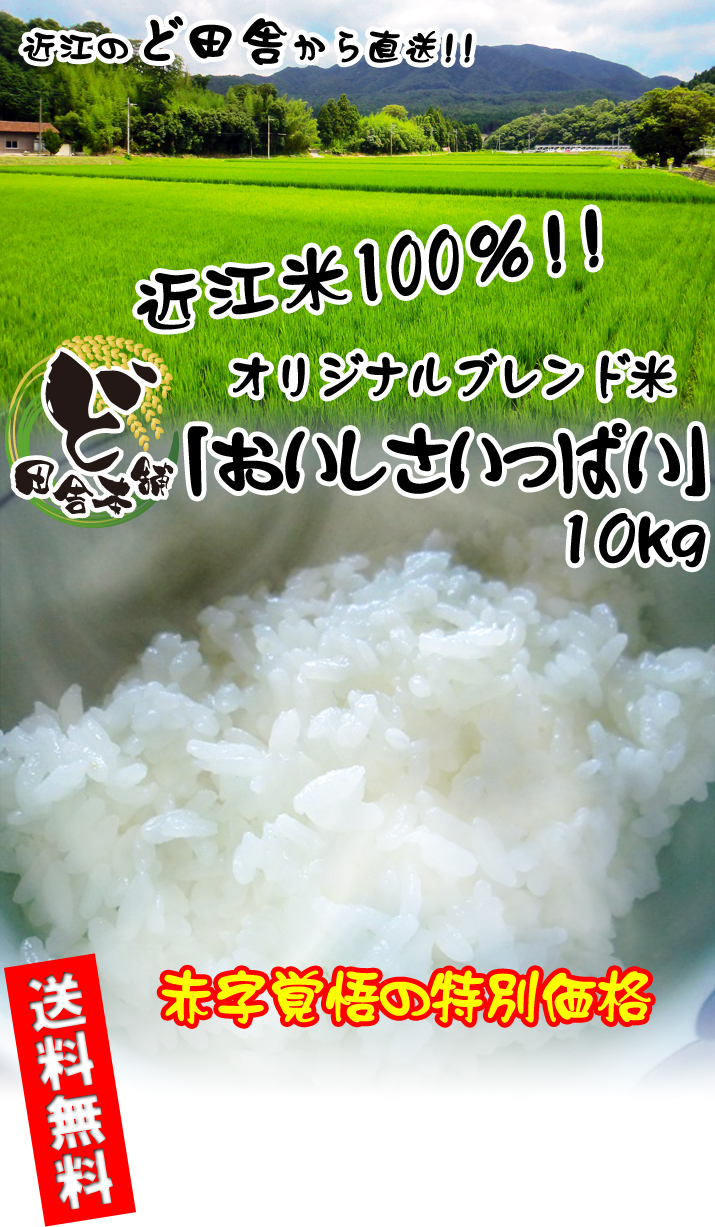 おいしさいっぱい 10kg