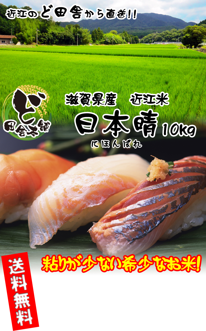 滋賀県産 近江米 日本晴 10kg