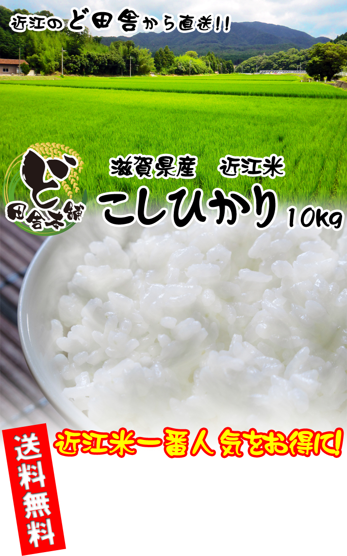 滋賀県産 近江米こしひかり 10kg