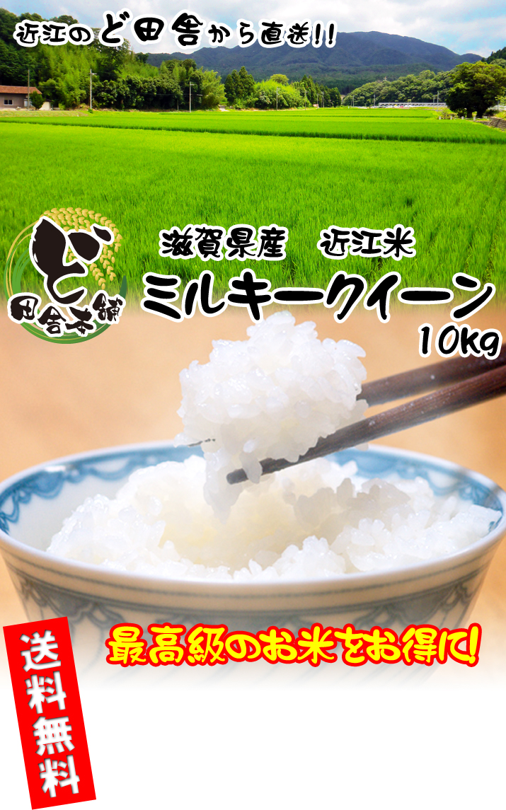 滋賀県産 近江米ミルキークイーン 10kg
