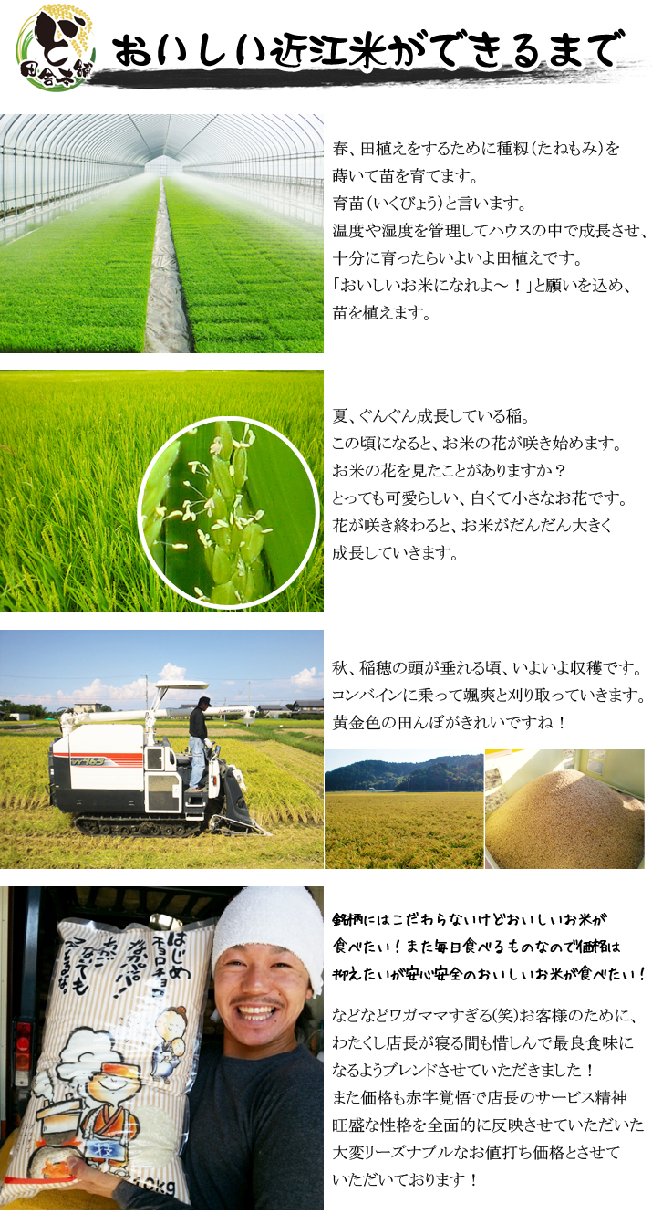 おいしい近江米ができるまで