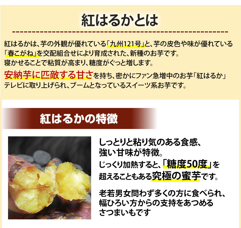 熊本県産　さつまいも『紅はるか』焼き芋サイズ　約10キロ　48