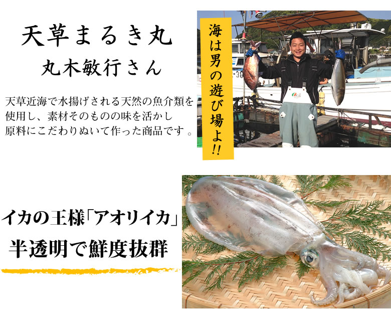 アオリイカ 漁師の沖めし イカ 送料無料 70g 5個セット 熊本天草産 海鮮 ギフト 丸木水産 刺身 魚介 シーフード Foody Sの通販 お取り寄せなら ぐるすぐり