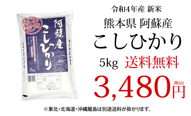 話題の行列 米 5kg 送料無料 特別栽培米 熊本 阿蘇のコシヒカリ 無洗米