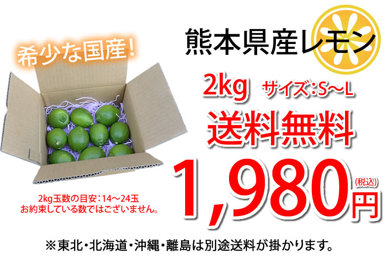 三重県産減農薬ポンカンと岐阜県産無農薬レモン - 果物