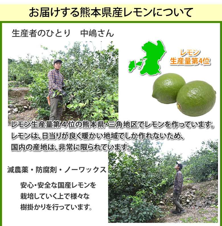 三重県産減農薬ポンカンと岐阜県産無農薬レモン - 果物