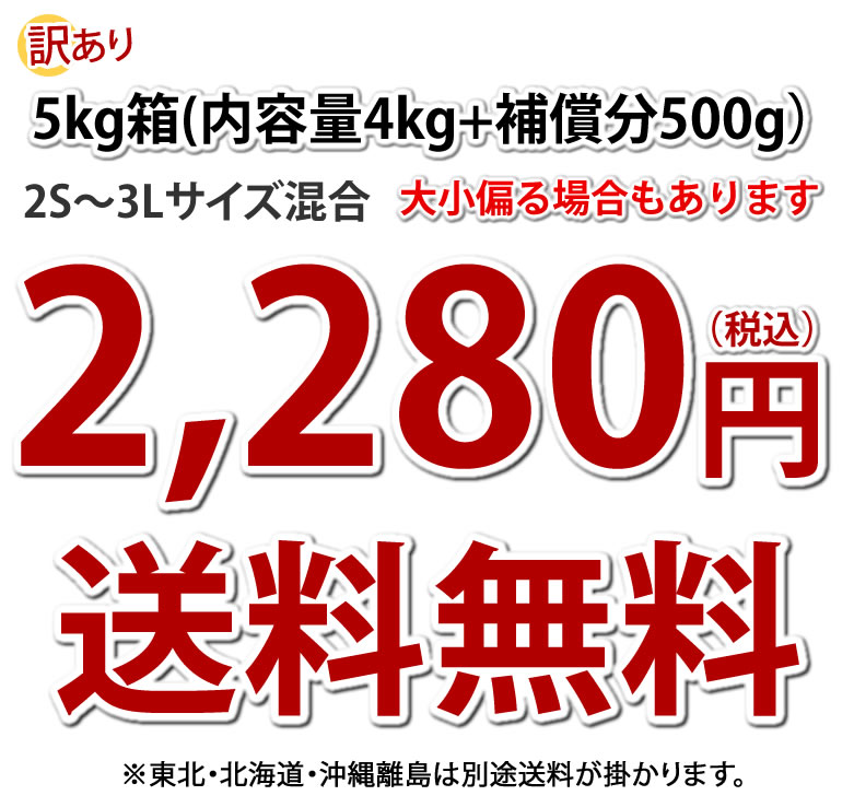 さつまいも 紅はるか 訳あり 5kg 箱込（内容量4kg＋補償分500g) 送料無料 熊本県産 サツマイモ 紅蜜芋 焼き芋 芋 いも ｜Foody'sの通販・お取り寄せなら【ぐるすぐり】