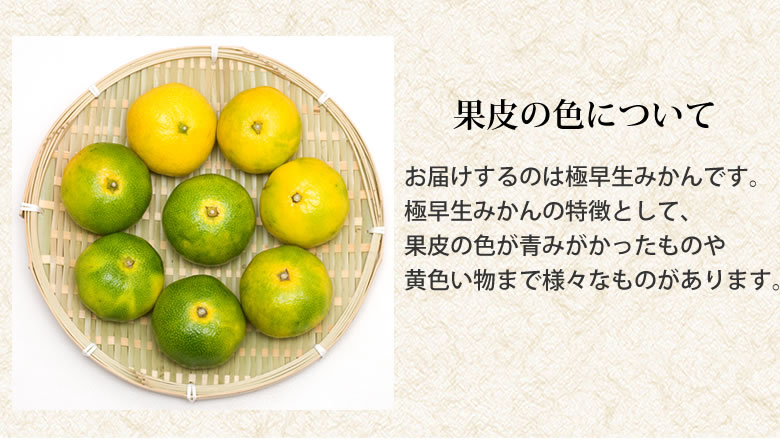 みかん 10kg 送料無料 訳あり 箱込（内容量9kg＋補償分500g) 無選別 熊本みかん 極早生みかん 早生みかん 温州みかん蜜柑 ミカン ｜Foody'sの通販・お取り寄せなら【ぐるすぐり】