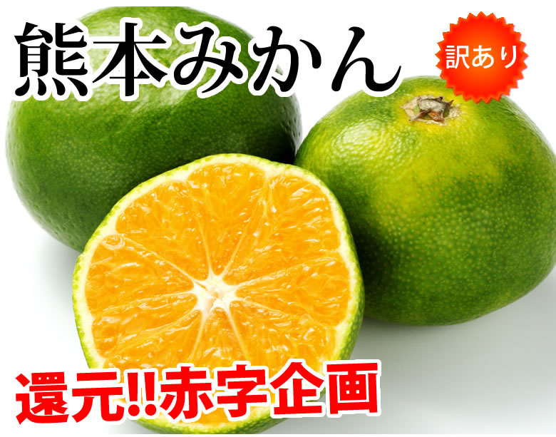 みかん 10kg 送料無料 訳あり 箱込（内容量9kg＋補償分500g) 無選別 熊本みかん 極早生みかん 早生みかん 温州みかん蜜柑 ミカン ｜Foody'sの通販・お取り寄せなら【ぐるすぐり】