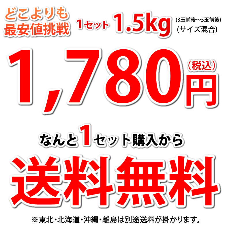 8月下旬〜9月上旬 訳あり 梨 幸水 長野県産 減農薬 5キロ レビューを書いたら200円クーポン