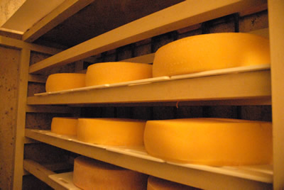 大友チーズ工房　チーズ貯蔵庫