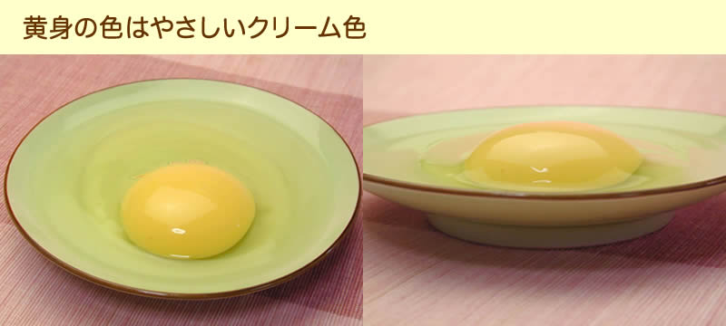 卵の黄身の色は優しいクリーム色
