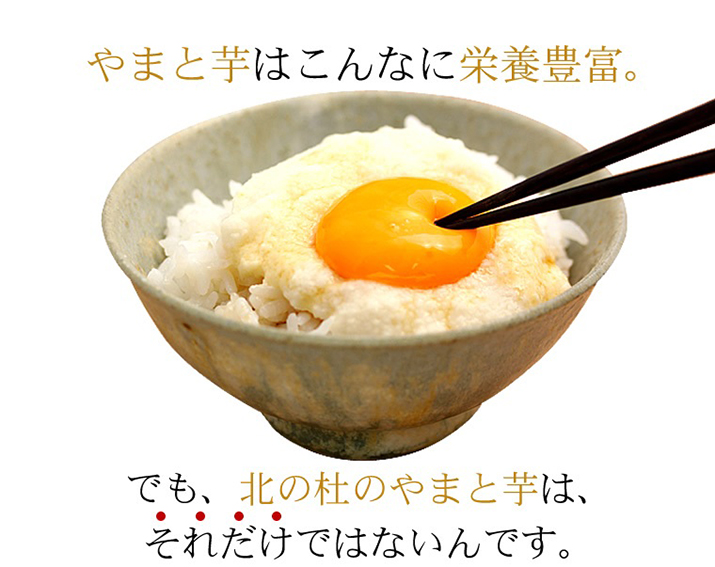 冷凍 とろろ 50g x 20袋入 山梨県産 やまと芋 田舎とろろ｜花蝶の通販・お取り寄せなら【ぐるすぐり】