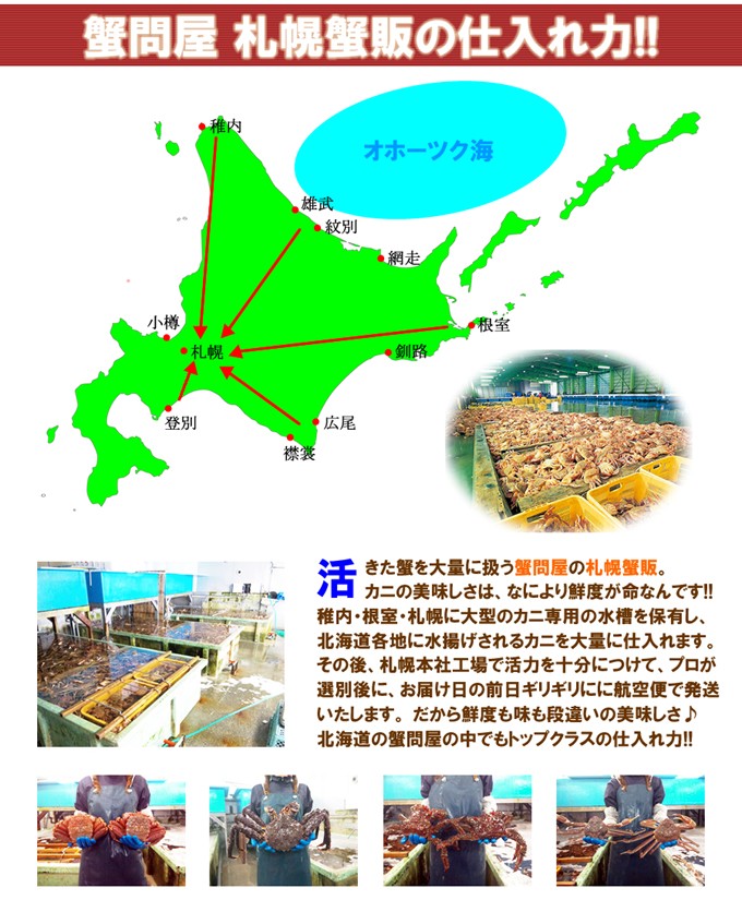 仕入力