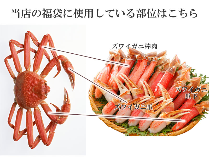 部位