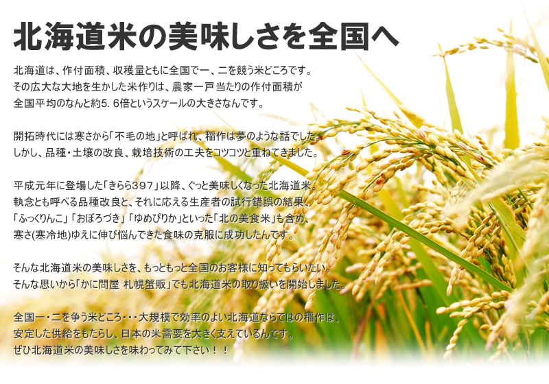 北海道産 ふっくりんこ