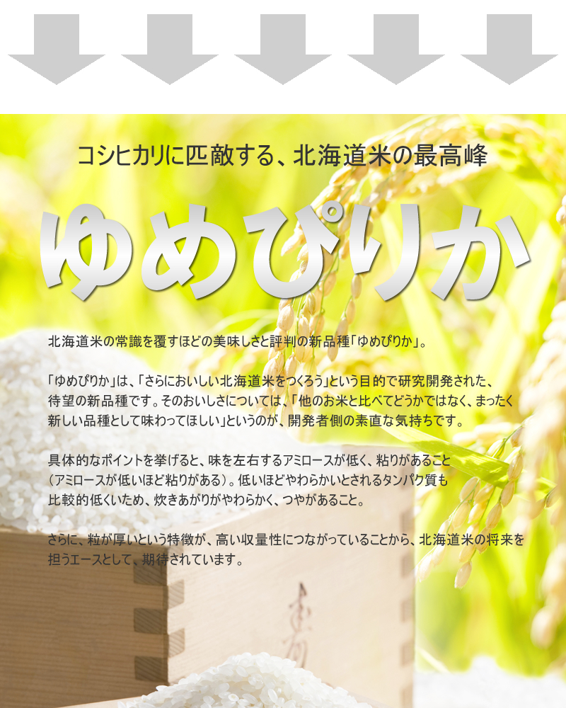 北海道産 ふっくりんこ