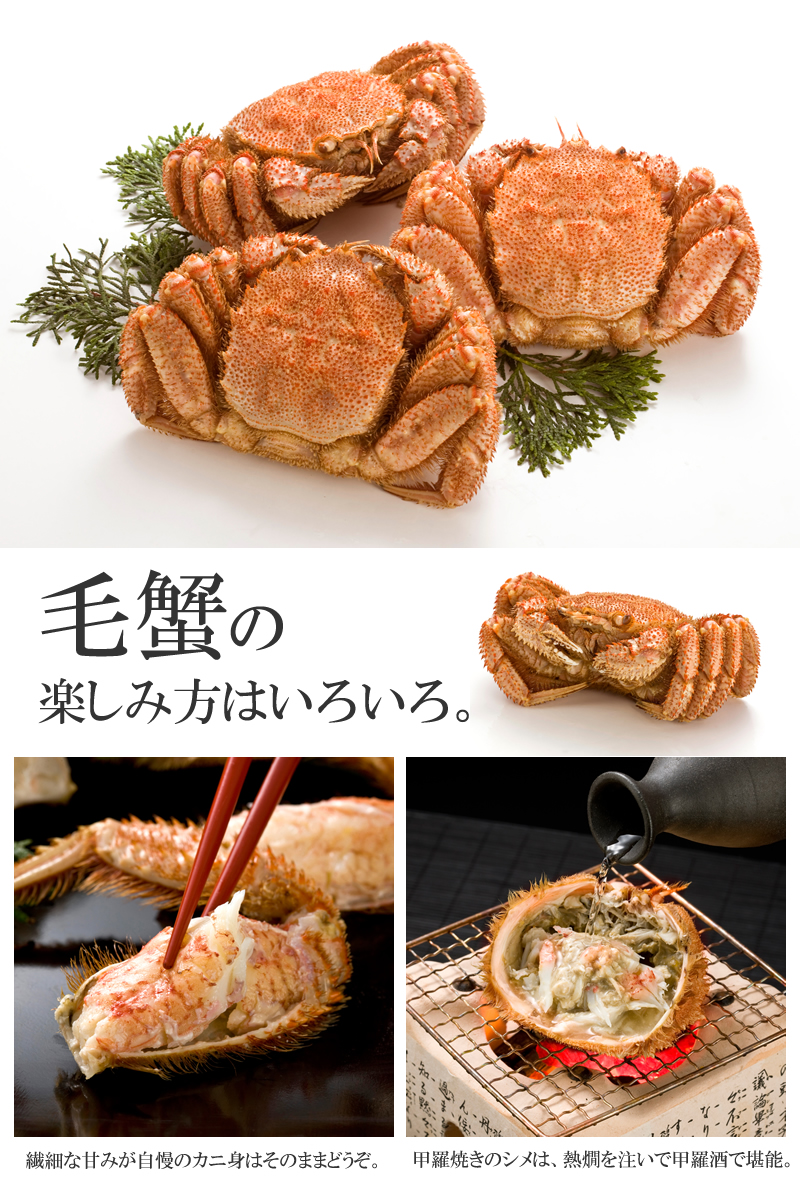 楽しみ方