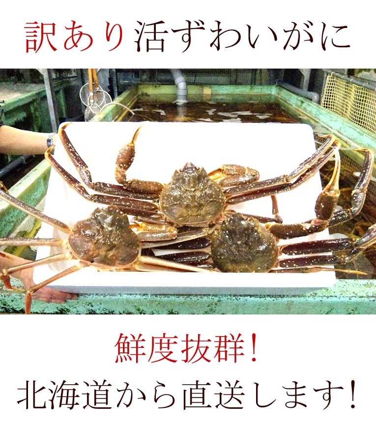 訳あり