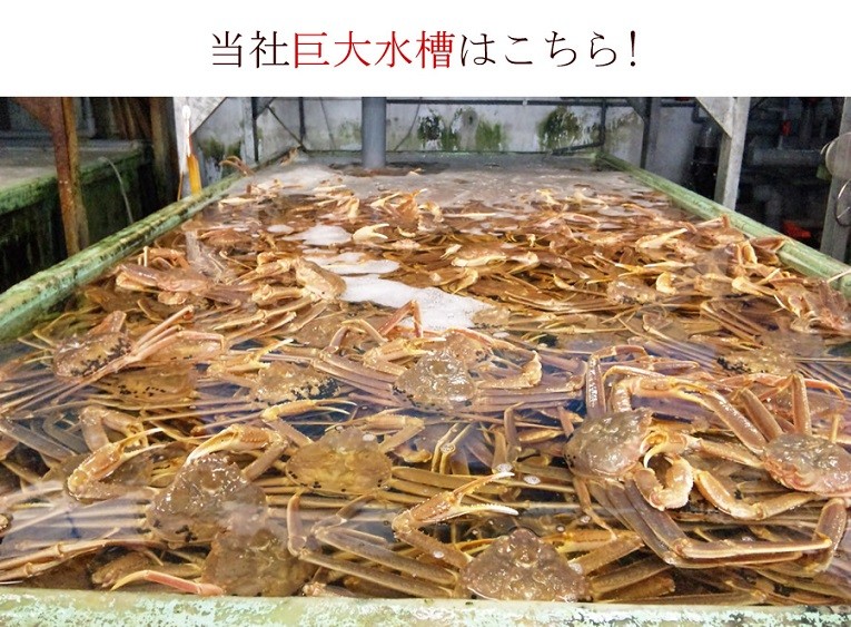 当社