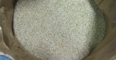 南魚沼産の美しい玄米