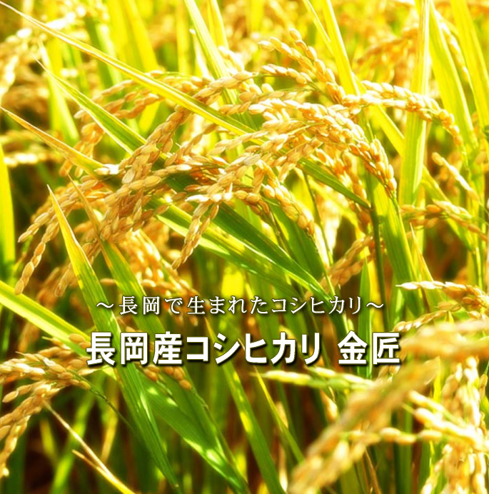 新潟県長岡産コシヒカリ金匠