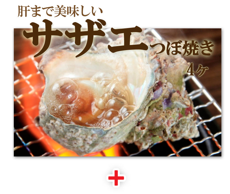 サザエ