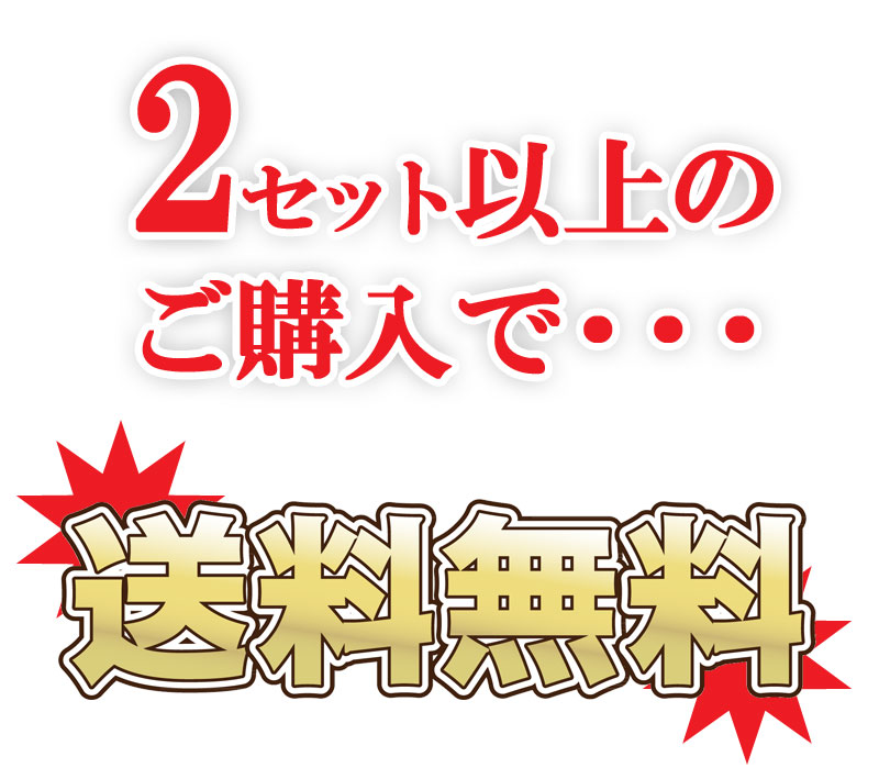 2セット以上の購入で送料無料