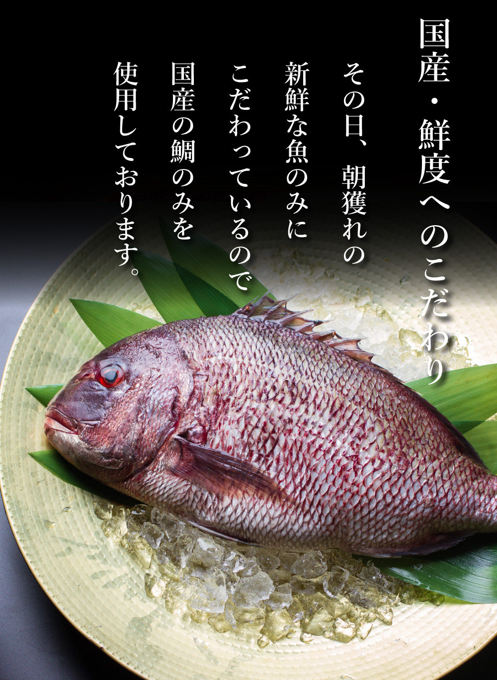 ぶりしゃぶ しゃぶしゃぶセット ポン酢付き 味ぽん 鰤 いなだ ハマチ 鍋 おススメ 美味しい 送料無料で安い