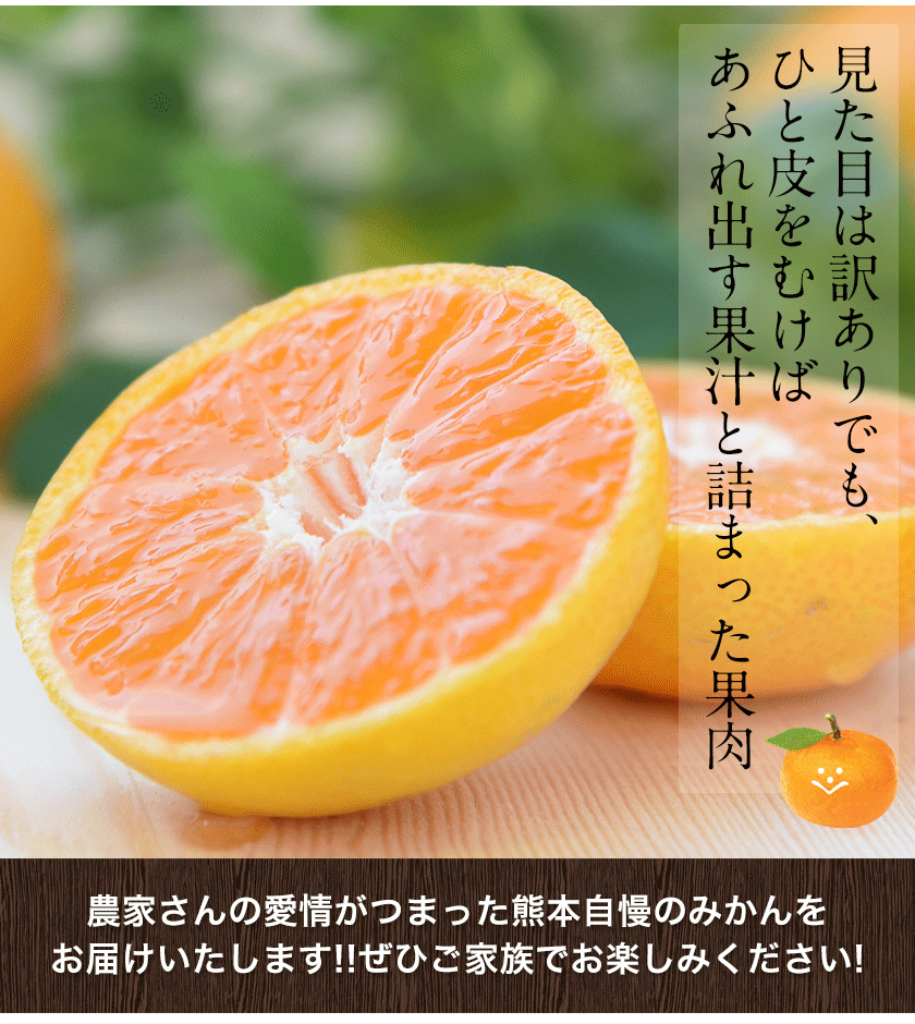 熊本みかん 5kg 訳あり 2月上旬 2月末頃順次出荷予定 みかん 熊本 熊本みかん 送料無料 柑橘 増量 ミカン 訳あり 規格外 人気