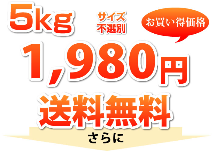 5kg1980円送料無料