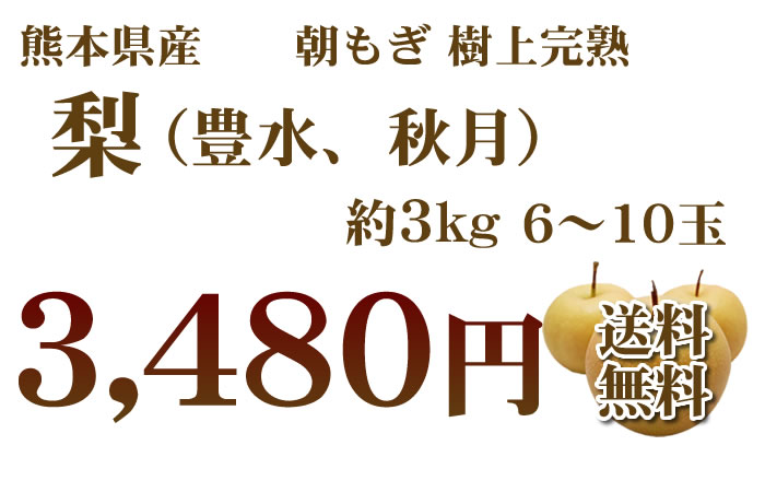 3kg2480円