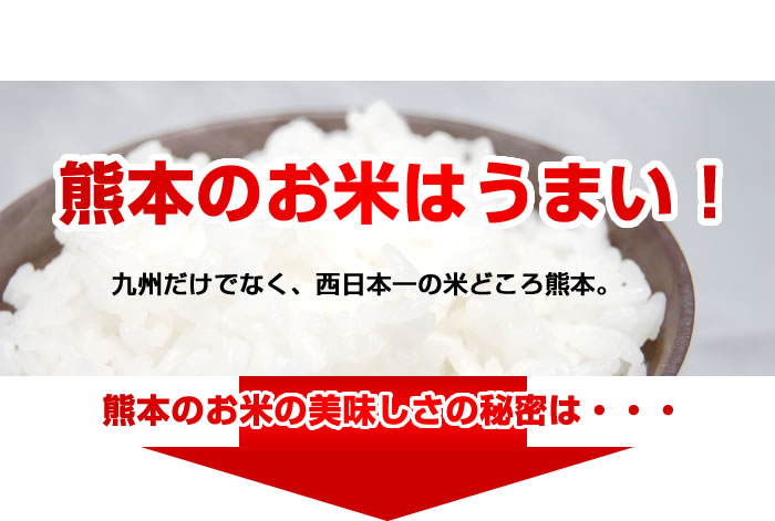 熊本のお米はうまい 九州だけではなく西日本一の米どころ熊本