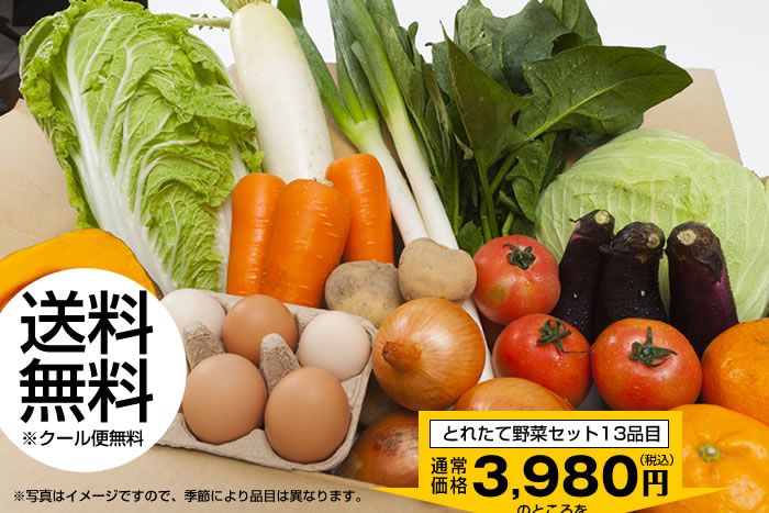 送料無料※クール便無料