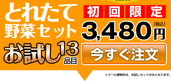 とれたて野菜セットお試し13品目 初回限定3,480円/便利でお得な定期便あります!!
