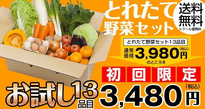 とれたて野菜セットお試し13品目 通常3,980円が初回限定3,480円