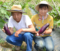 写真-生産者