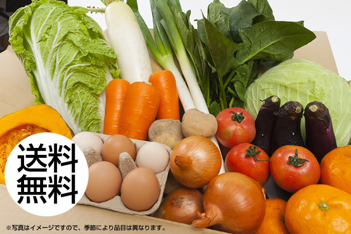送料無料