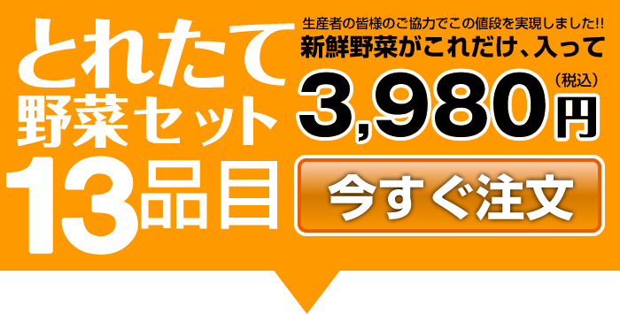とれたて野菜セット13品目 3,980円/お得で便利な定期便あります!!