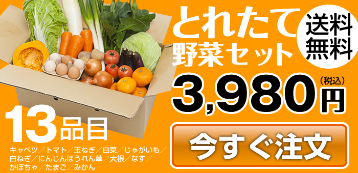 とれたて野菜セット3,980円(送料無料)