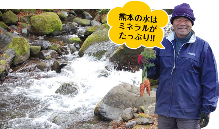 熊本の水はミネラルがたっぷり!!