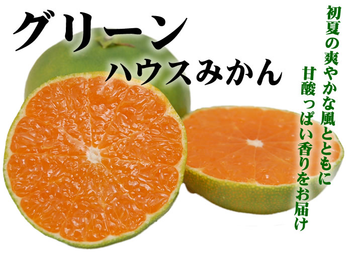 グリーンハウスみかん