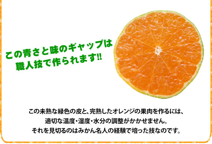 グリーンハウスみかんって